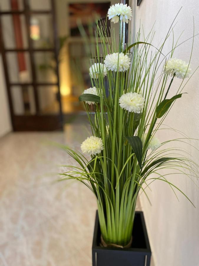 Apartment Dora ซาดาร์ ภายนอก รูปภาพ